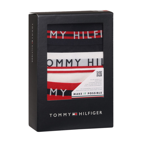 3PACK vīriešu bokseru šorti Tommy Hilfiger daudzkrāsaini (UM0UM03007 0X0)