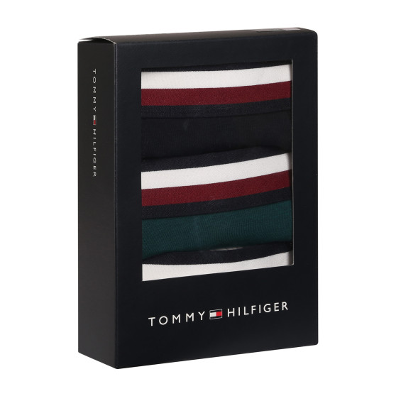 3PACK vīriešu bokseru šorti Tommy Hilfiger daudzkrāsaini (UM0UM03035 0T1)