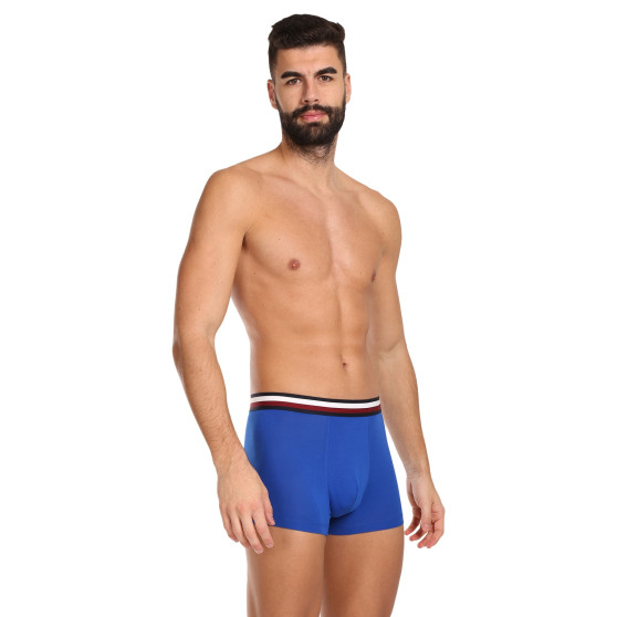 3PACK vīriešu bokseru šorti Tommy Hilfiger daudzkrāsaini (UM0UM03035 0UG)