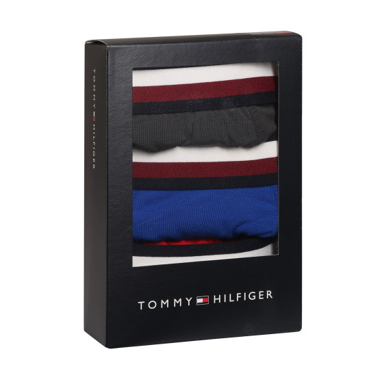 3PACK vīriešu bokseru šorti Tommy Hilfiger daudzkrāsaini (UM0UM03035 0UG)