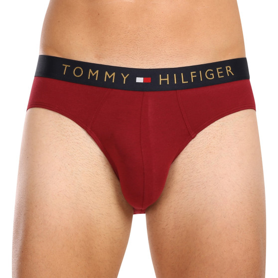 5PACK vīriešu apakšbikses Tommy Hilfiger daudzkrāsains (UM0UM03037 0WJ)