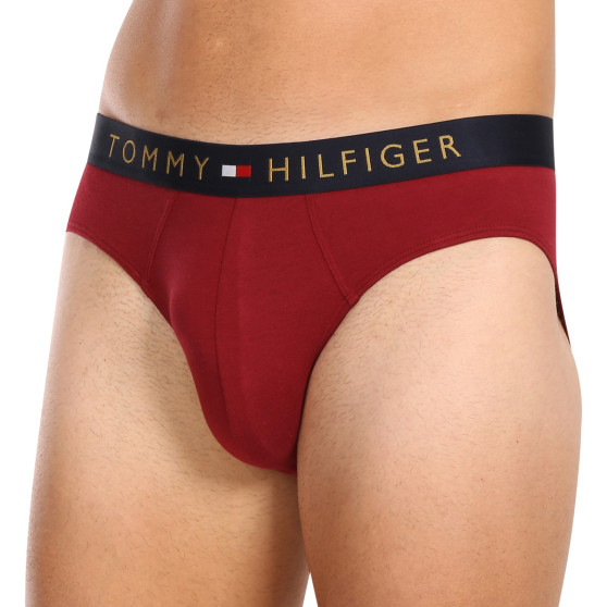 5PACK vīriešu apakšbikses Tommy Hilfiger daudzkrāsains (UM0UM03037 0WJ)