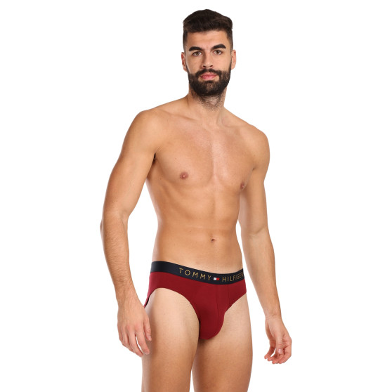 5PACK vīriešu apakšbikses Tommy Hilfiger daudzkrāsains (UM0UM03037 0WJ)