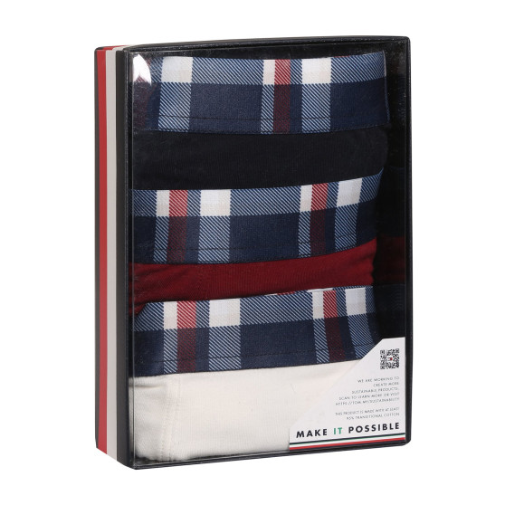 3PACK vīriešu bokseru šorti Tommy Hilfiger daudzkrāsaini (UM0UM03041 0XU)