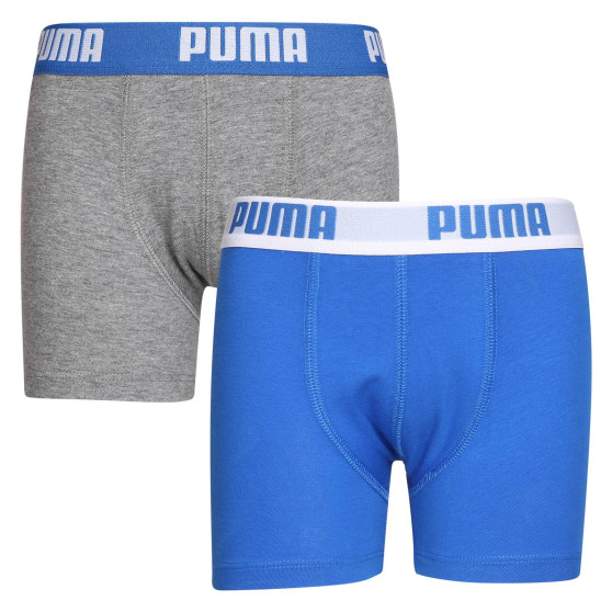 2PACK zēnu bokseru šorti Puma daudzkrāsaini (701219336 417)