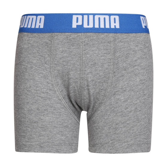 2PACK zēnu bokseru šorti Puma daudzkrāsaini (701219336 417)