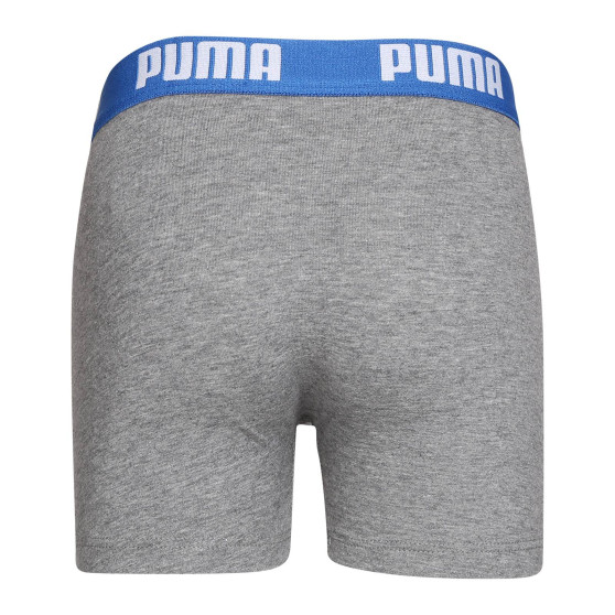 2PACK zēnu bokseru šorti Puma daudzkrāsaini (701219336 417)