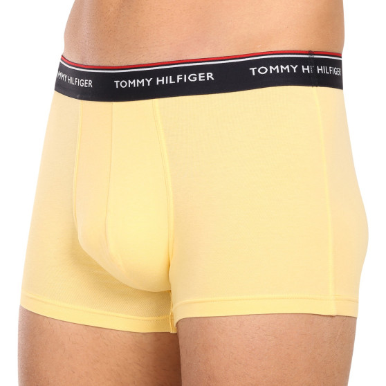 3PACK vīriešu bokseru šorti Tommy Hilfiger daudzkrāsaini (1U87903842 0ID)