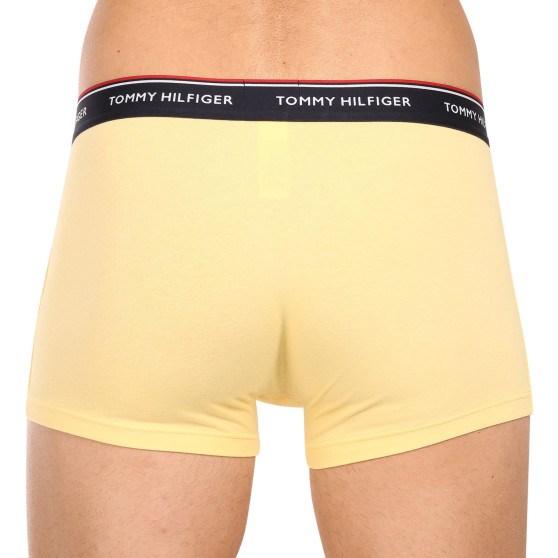 3PACK vīriešu bokseru šorti Tommy Hilfiger daudzkrāsaini (1U87903842 0ID)