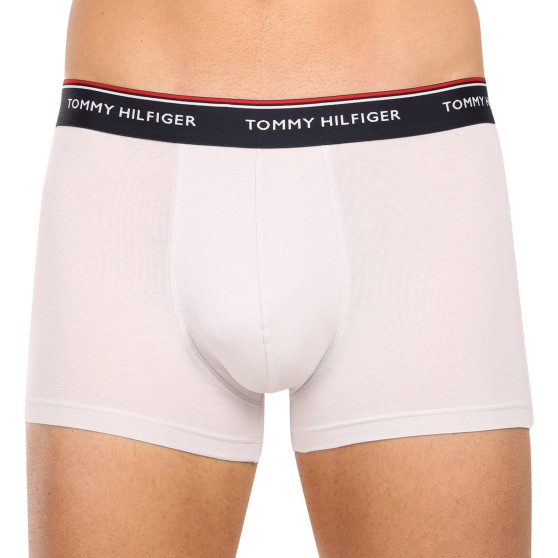 3PACK vīriešu bokseru šorti Tommy Hilfiger daudzkrāsaini (1U87903842 0Y0)