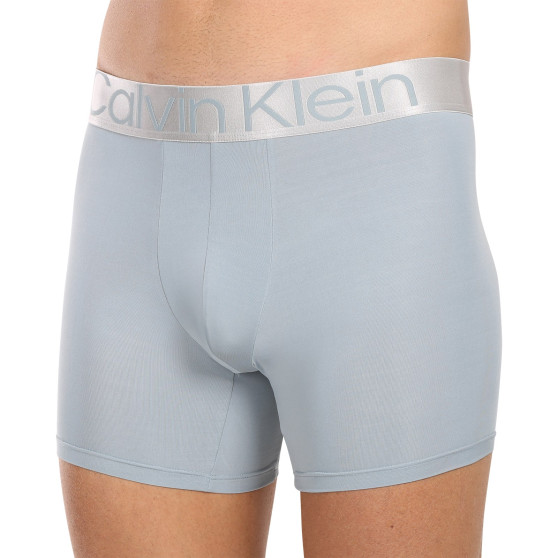 3PACK vīriešu bokseru šorti Calvin Klein daudzkrāsaini (NB3075A-N2D)