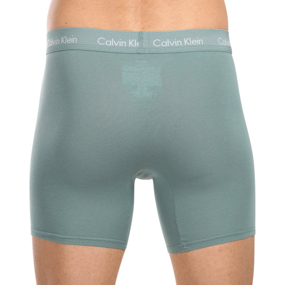 3PACK vīriešu bokseru šorti Calvin Klein daudzkrāsaini (NB1770A-N23)