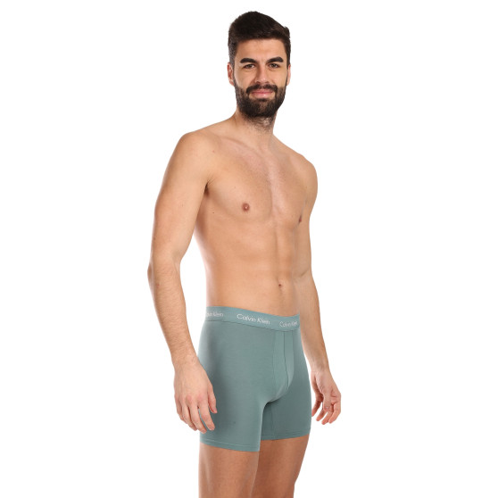 3PACK vīriešu bokseru šorti Calvin Klein daudzkrāsaini (NB1770A-N23)