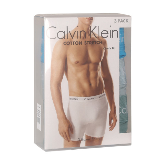 3PACK vīriešu bokseru šorti Calvin Klein daudzkrāsaini (NB1770A-N23)