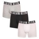 3PACK vīriešu bokseru šorti Calvin Klein daudzkrāsaini (NB3609A-MP1)