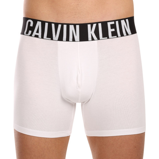 3PACK vīriešu bokseru šorti Calvin Klein daudzkrāsaini (NB3609A-MP1)