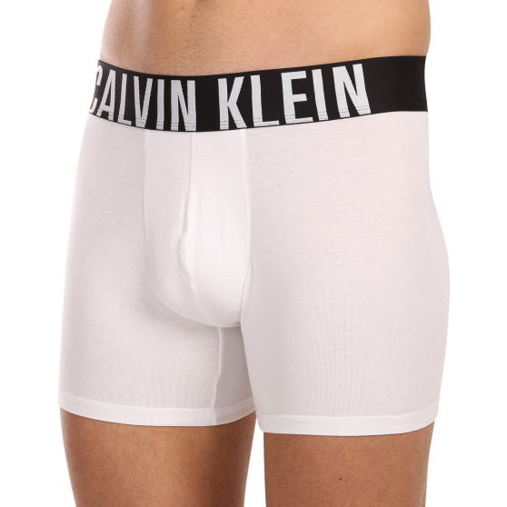 3PACK vīriešu bokseru šorti Calvin Klein daudzkrāsaini (NB3609A-MP1)