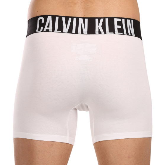 3PACK vīriešu bokseru šorti Calvin Klein daudzkrāsaini (NB3609A-MP1)