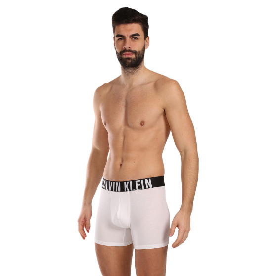 3PACK vīriešu bokseru šorti Calvin Klein daudzkrāsaini (NB3609A-MP1)