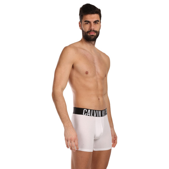 3PACK vīriešu bokseru šorti Calvin Klein daudzkrāsaini (NB3609A-MP1)