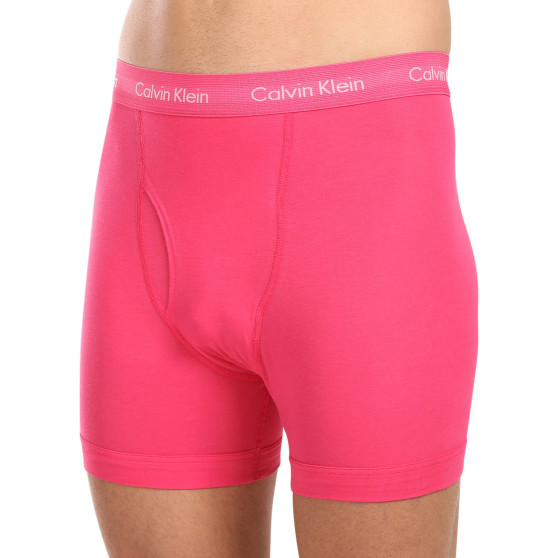 3PACK vīriešu bokseru šorti Calvin Klein daudzkrāsaini (NB2616A-NLT)