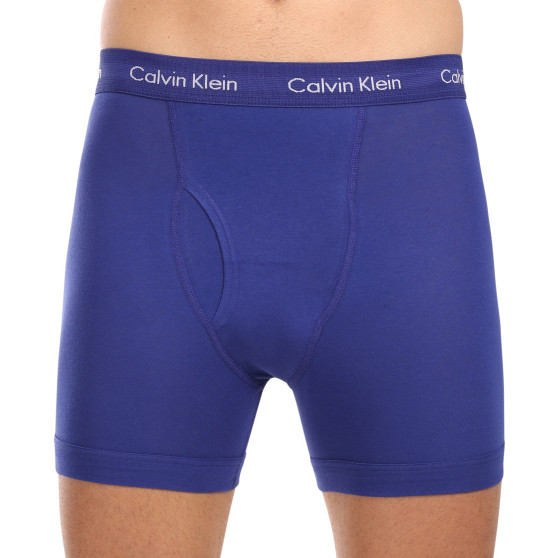 3PACK vīriešu bokseru šorti Calvin Klein daudzkrāsaini (NB2616A-NLT)