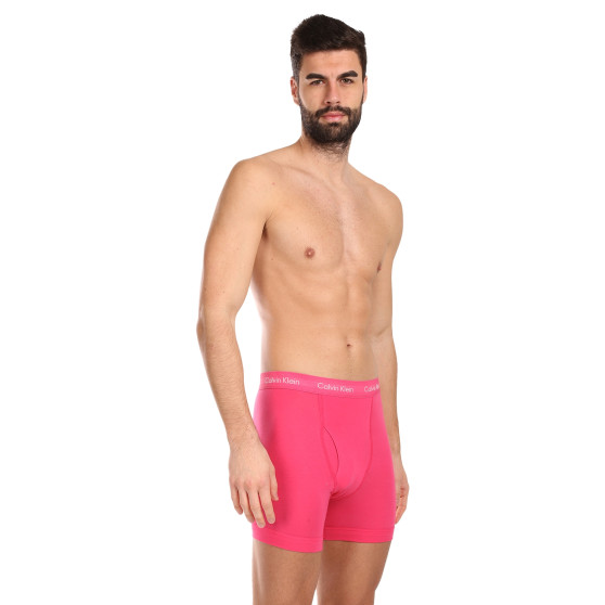 3PACK vīriešu bokseru šorti Calvin Klein daudzkrāsaini (NB2616A-NLT)