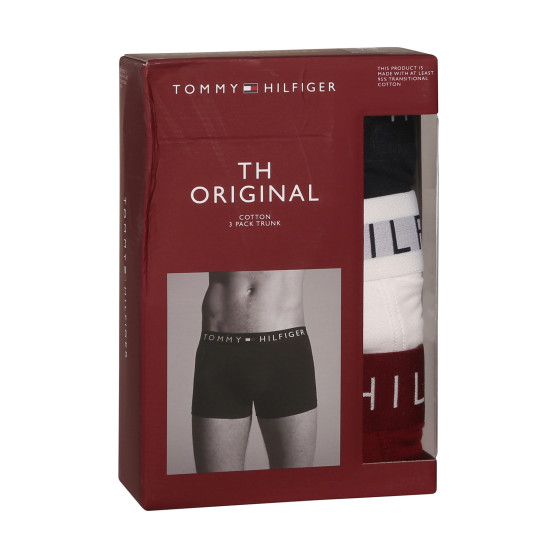 3PACK vīriešu bokseru šorti Tommy Hilfiger daudzkrāsaini (UM0UM03181 0SZ)