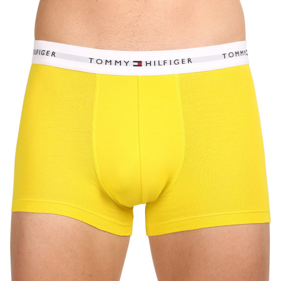 3PACK vīriešu bokseru šorti Tommy Hilfiger daudzkrāsaini (UM0UM02761 0XN)