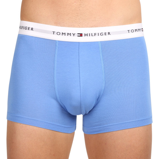 3PACK vīriešu bokseru šorti Tommy Hilfiger daudzkrāsaini (UM0UM02761 0XN)