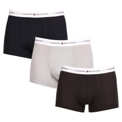 3PACK vīriešu bokseru šorti Tommy Hilfiger daudzkrāsaini (UM0UM02761 0YV)