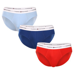 3PACK vīriešu apakšbikses Tommy Hilfiger daudzkrāsains (UM0UM02764 0XZ)