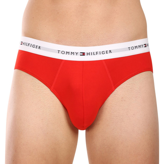 3PACK vīriešu apakšbikses Tommy Hilfiger daudzkrāsains (UM0UM02764 0XZ)