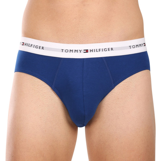 3PACK vīriešu apakšbikses Tommy Hilfiger daudzkrāsains (UM0UM02764 0XZ)