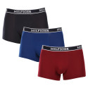 3PACK vīriešu bokseru šorti Tommy Hilfiger daudzkrāsaini (UM0UM03185 0SX)