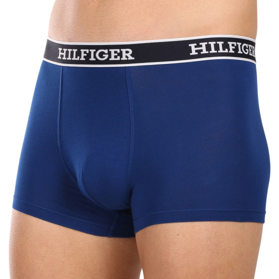 3PACK vīriešu bokseru šorti Tommy Hilfiger daudzkrāsaini (UM0UM03185 0SX)