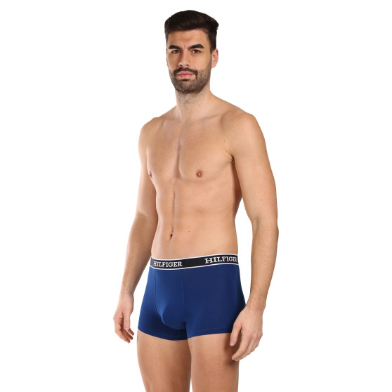 3PACK vīriešu bokseru šorti Tommy Hilfiger daudzkrāsaini (UM0UM03185 0SX)