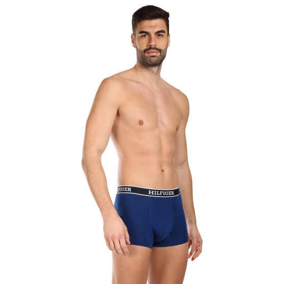 3PACK vīriešu bokseru šorti Tommy Hilfiger daudzkrāsaini (UM0UM03185 0SX)