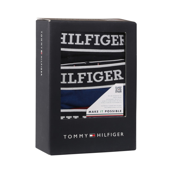 3PACK vīriešu bokseru šorti Tommy Hilfiger daudzkrāsaini (UM0UM03185 0SX)