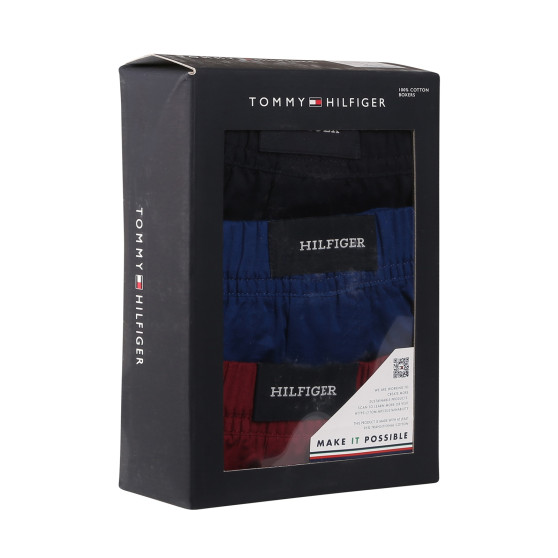 3PACK vīriešu bokserbokseršorti Tommy Hilfiger daudzkrāsaini (UM0UM03187 0SX)