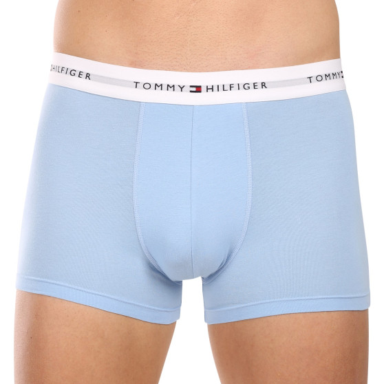 3PACK vīriešu bokseru šorti Tommy Hilfiger daudzkrāsaini (UM0UM02761 0XP)