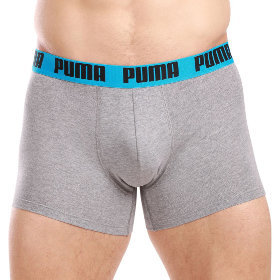 2PACK vīriešu bokseru šorti Puma daudzkrāsaini (701226387 019)