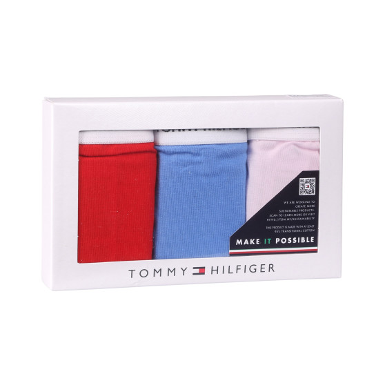 3PACK sieviešu biksītes Tommy Hilfiger daudzkrāsains (UW0UW04895 0WR)