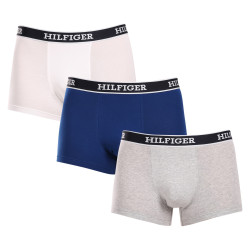 3PACK vīriešu bokseru šorti Tommy Hilfiger daudzkrāsaini (UM0UM03185 0YZ)