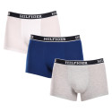 3PACK vīriešu bokseru šorti Tommy Hilfiger daudzkrāsaini (UM0UM03185 0YZ)