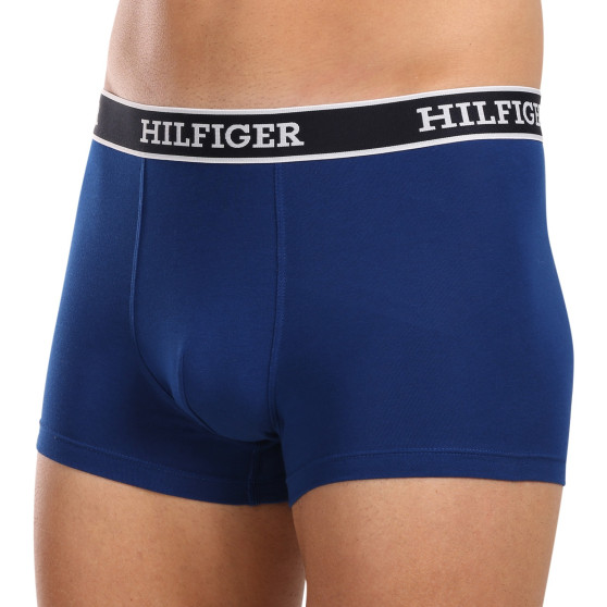 3PACK vīriešu bokseru šorti Tommy Hilfiger daudzkrāsaini (UM0UM03185 0YZ)