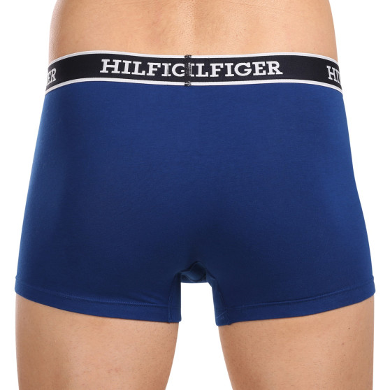 3PACK vīriešu bokseru šorti Tommy Hilfiger daudzkrāsaini (UM0UM03185 0YZ)