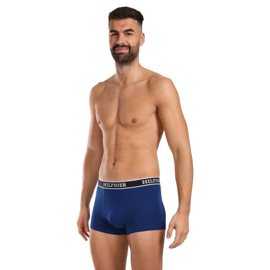 3PACK vīriešu bokseru šorti Tommy Hilfiger daudzkrāsaini (UM0UM03185 0YZ)