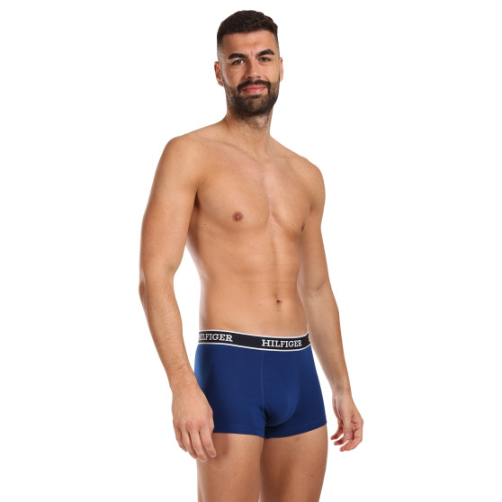 3PACK vīriešu bokseru šorti Tommy Hilfiger daudzkrāsaini (UM0UM03185 0YZ)