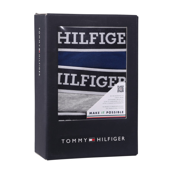 3PACK vīriešu bokseru šorti Tommy Hilfiger daudzkrāsaini (UM0UM03185 0YZ)